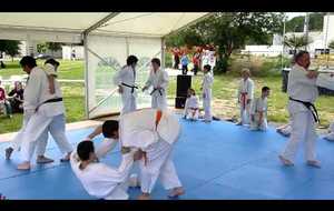 démonstration Judo 22/06/2013